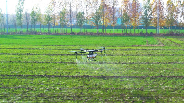 Assistance technique à l'agriculture pour les UAV de protection des végétaux de la société Carter Robotics du Groupe charbon de Chine